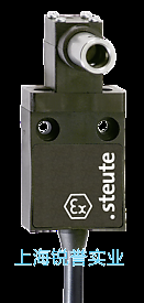 Ex 95 SB 2? - 10 mm 防爆鉸鏈防護門安全開關(guān)